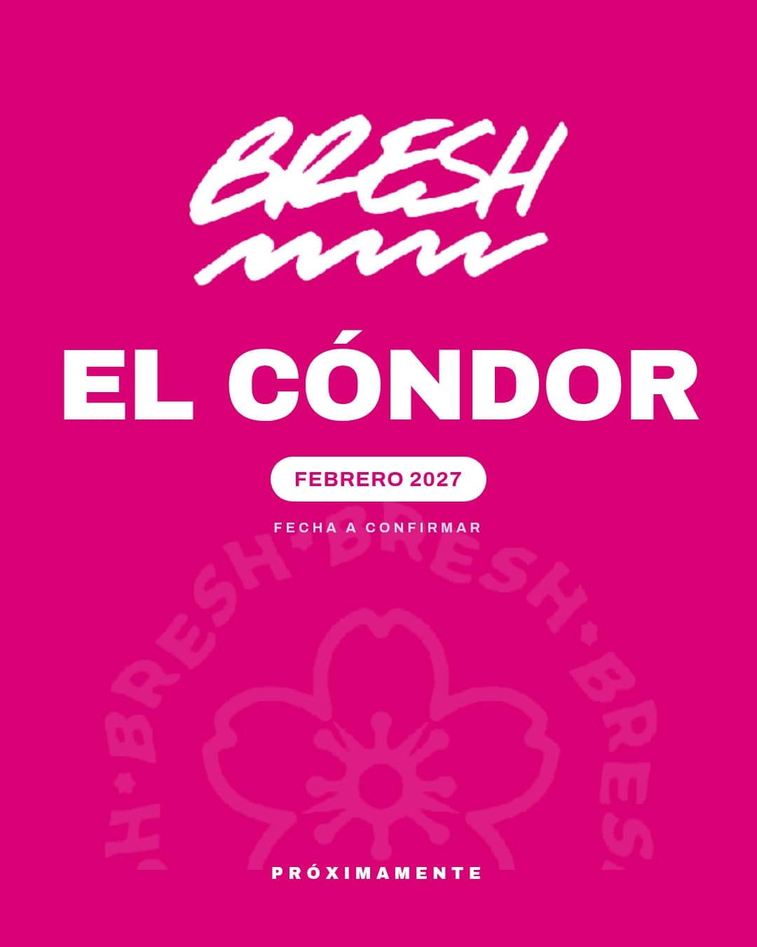 BRESH EL CÓNDOR