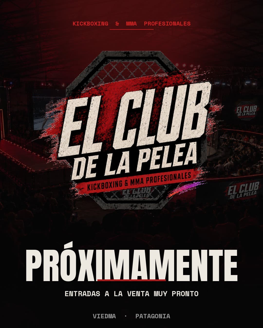 El Club de la Pelea